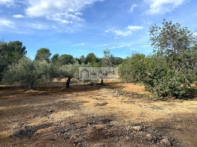 Grunde uden byggetilladelser til salg i L'Ampolla - € 65.000 (Ref: 8690247)