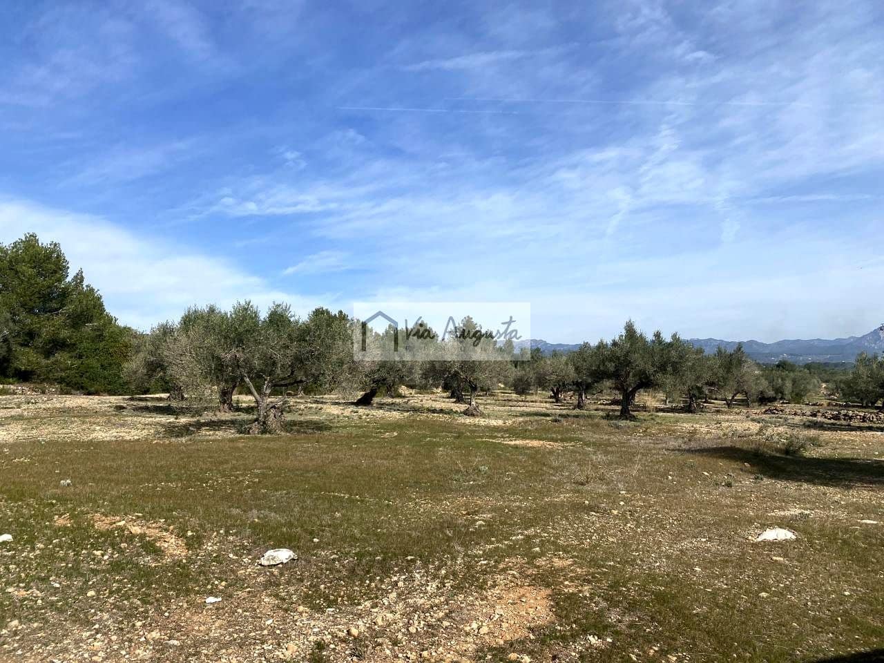 Ubebygd land til salgs i El Perello - € 86 000 (Ref: 8722996)
