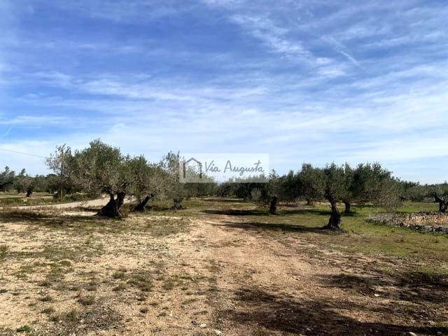 Ubebygd land til salgs i El Perelló - € 86 000 (Ref: 8722996)