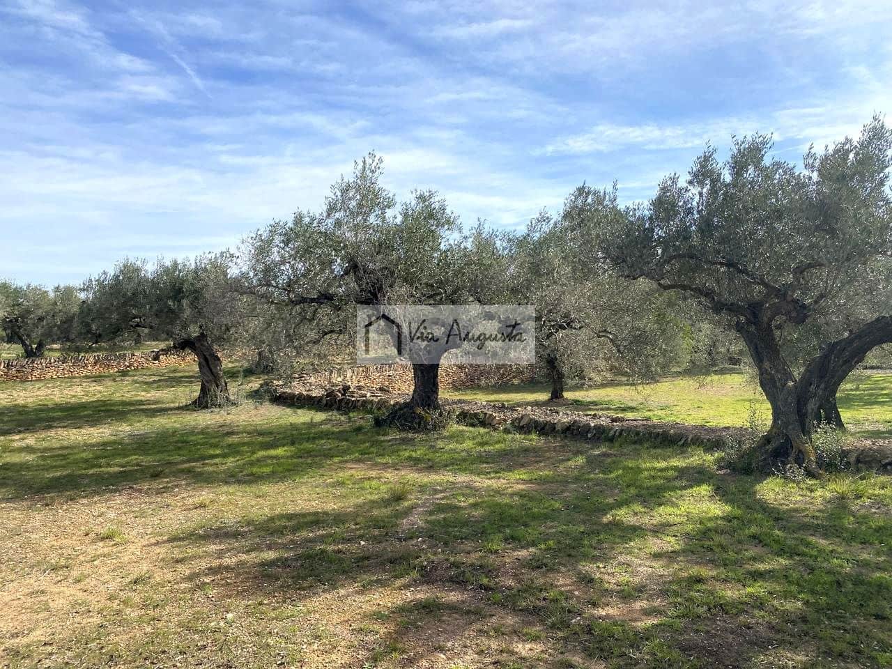 Ubebygd land til salgs i El Perello - € 86 000 (Ref: 8722996)