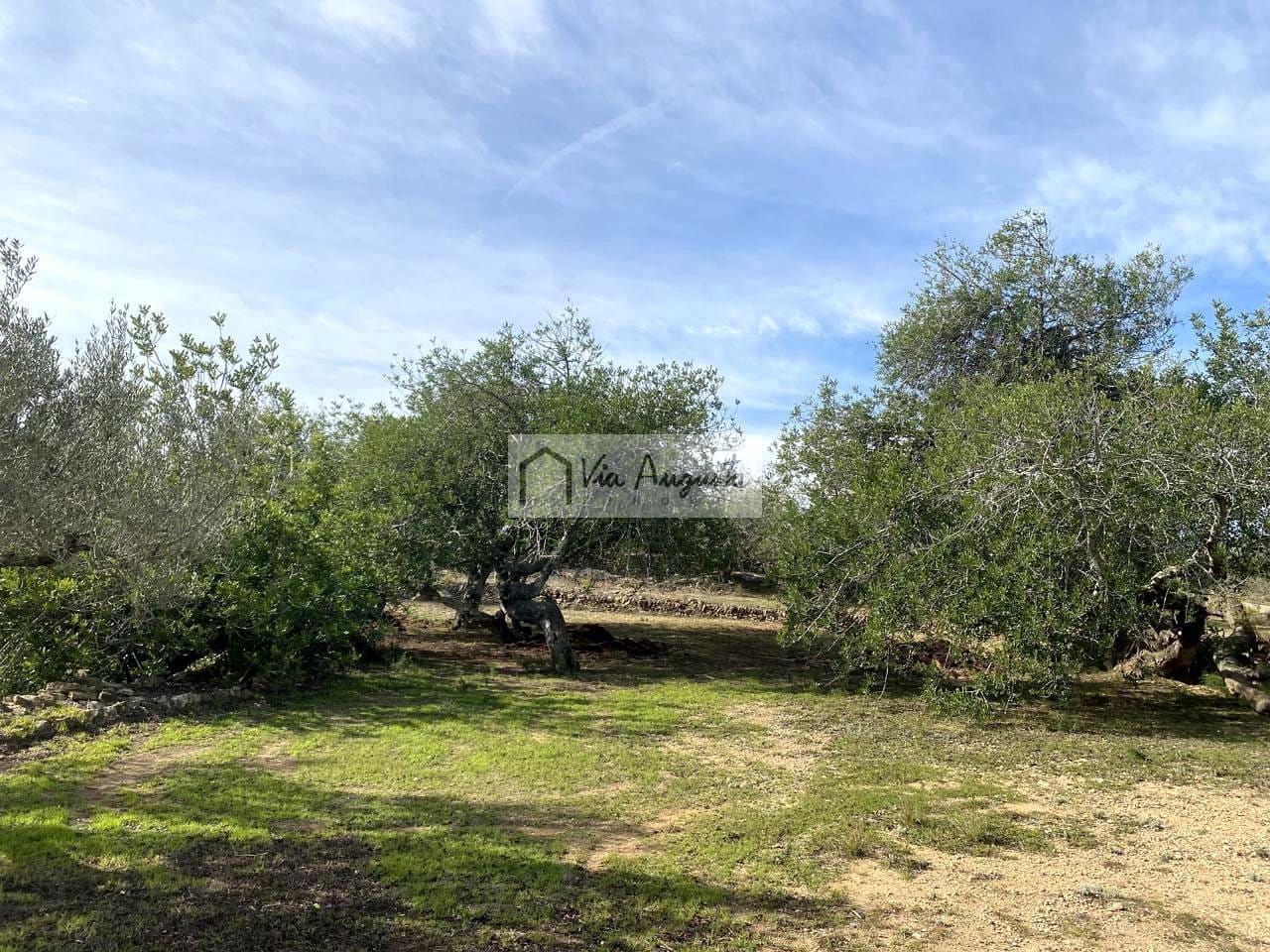 Ubebygd land til salgs i El Perello - € 86 000 (Ref: 8722996)