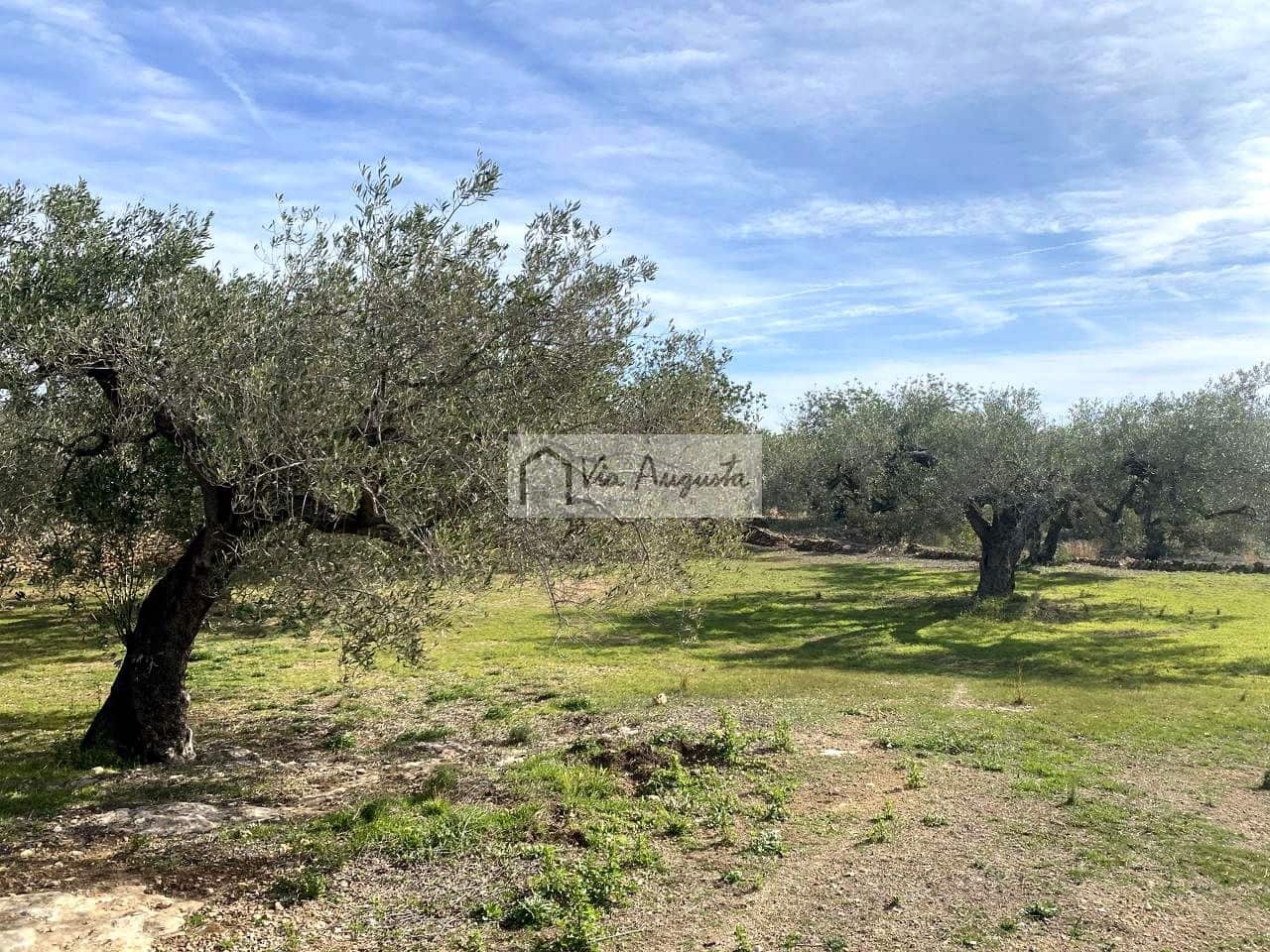 Ubebygd land til salgs i El Perello - € 86 000 (Ref: 8722996)