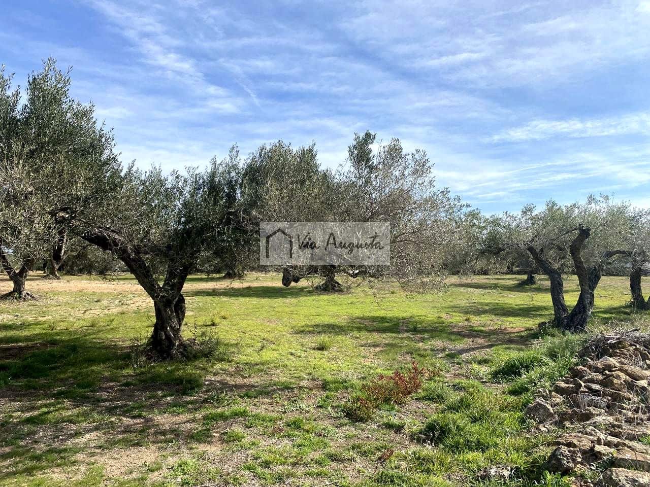 Ubebygd land til salgs i El Perello - € 86 000 (Ref: 8722996)