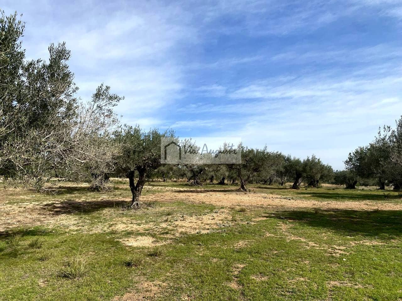 Ubebygd land til salgs i El Perello - € 86 000 (Ref: 8722996)