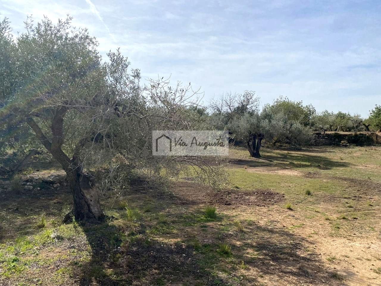 Ubebygd land til salgs i El Perello - € 86 000 (Ref: 8722996)