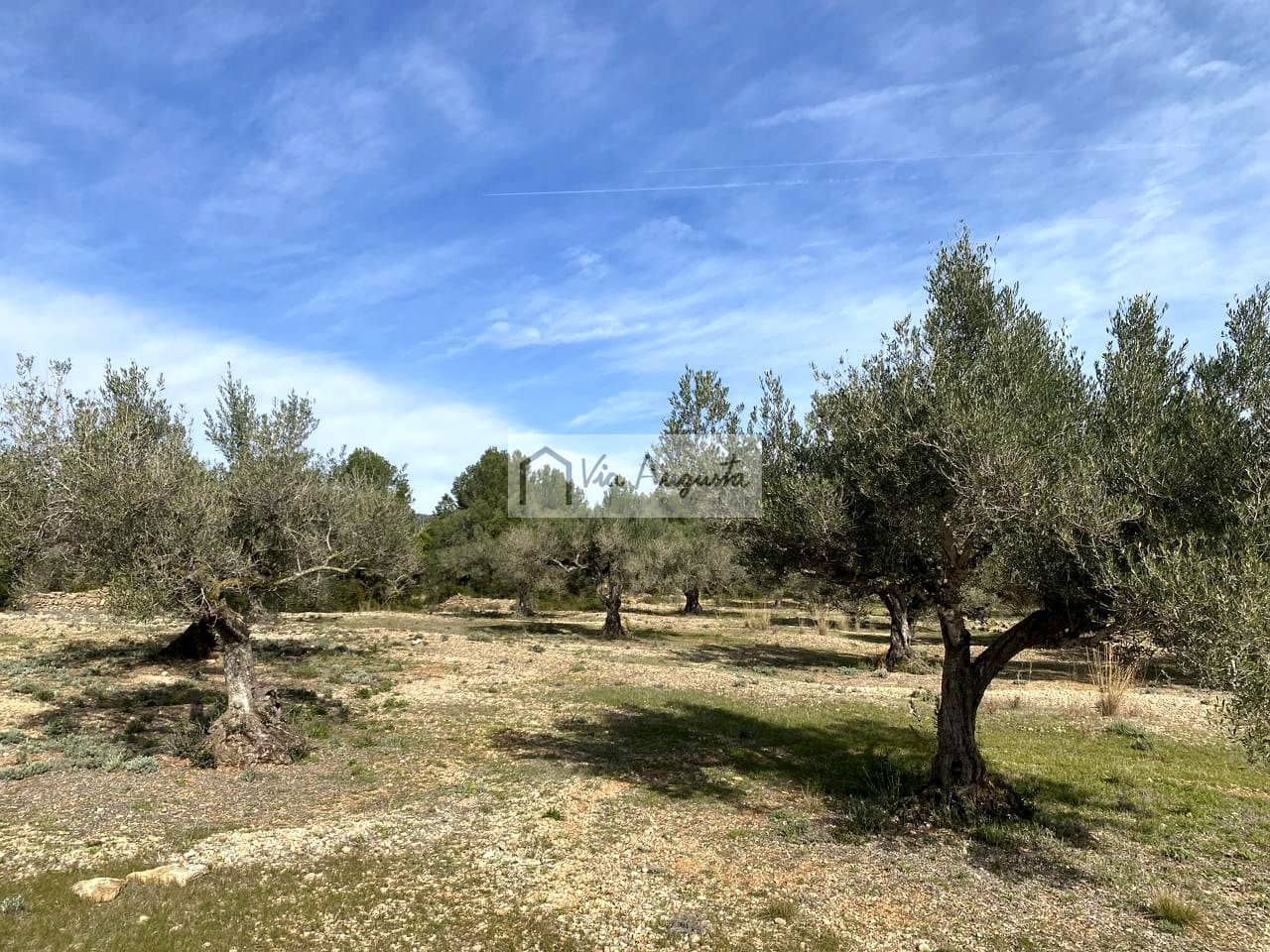 Ubebygd land til salgs i El Perello - € 86 000 (Ref: 8722996)