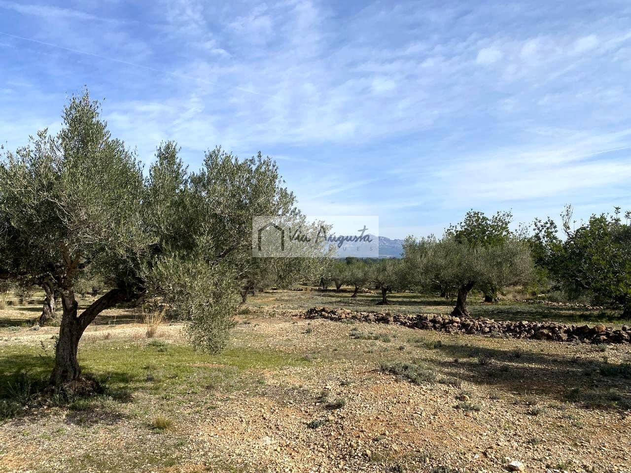 Ubebygd land til salgs i El Perello - € 86 000 (Ref: 8722996)