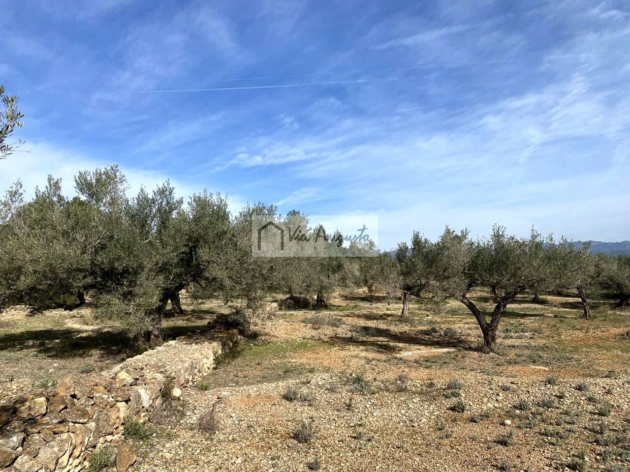 Ubebygd land til salgs i El Perello - € 86 000 (Ref: 8722996)