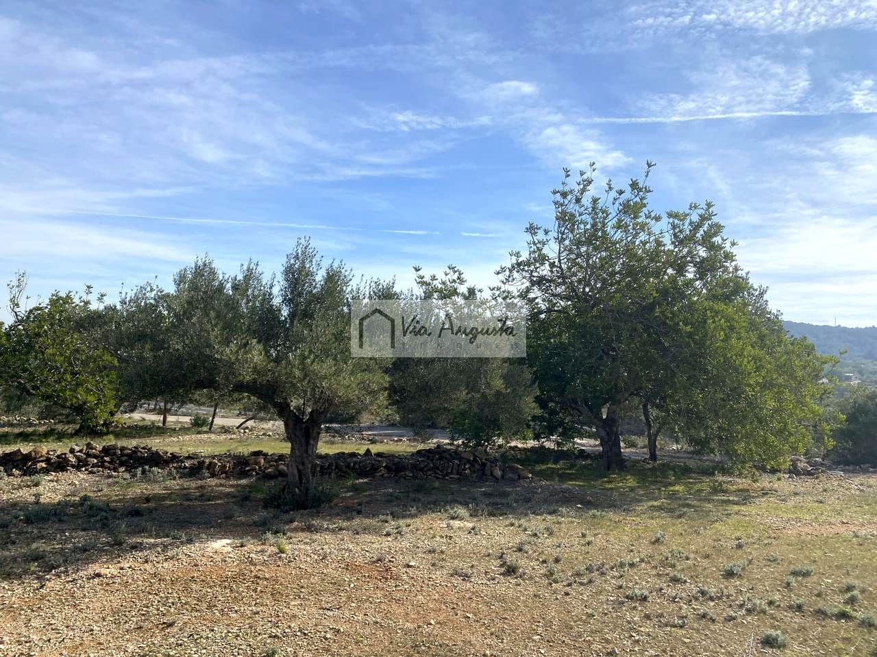 Ubebygd land til salgs i El Perello - € 86 000 (Ref: 8722996)