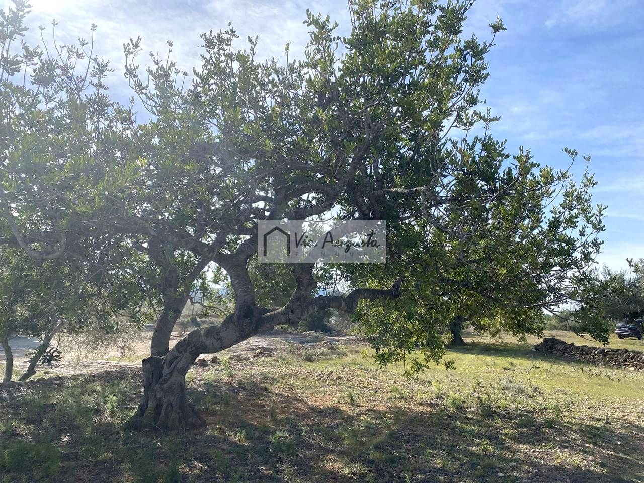 Ubebygd land til salgs i El Perello - € 86 000 (Ref: 8722996)