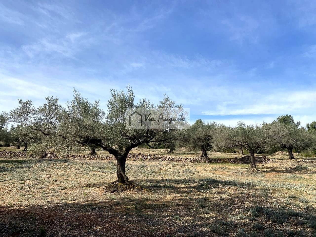 Ubebygd land til salgs i El Perello - € 86 000 (Ref: 8722996)
