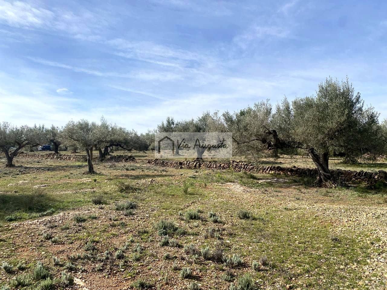 Ubebygd land til salgs i El Perello - € 86 000 (Ref: 8722996)