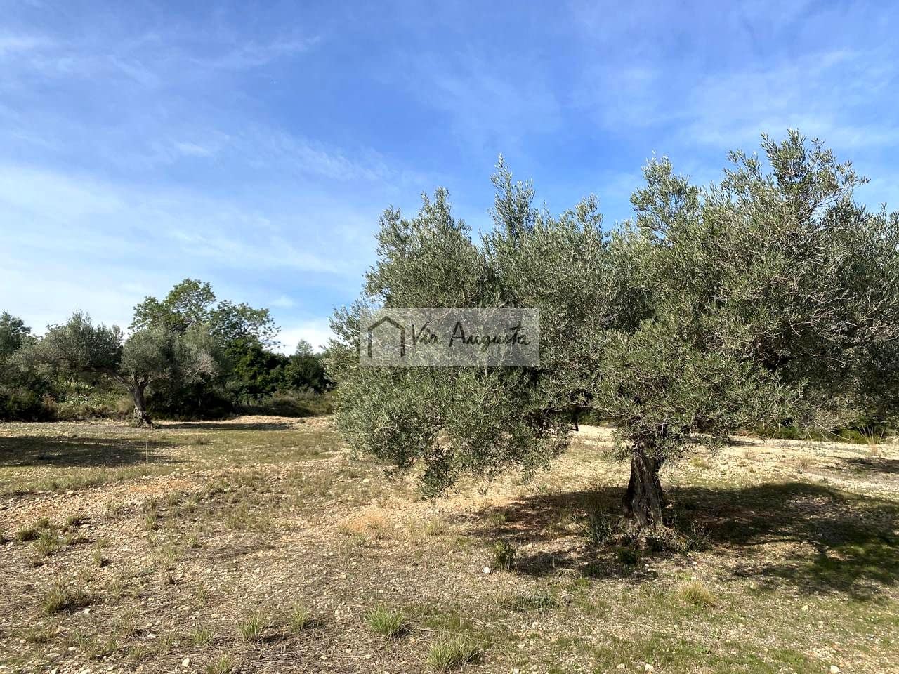 Ubebygd land til salgs i El Perello - € 86 000 (Ref: 8722996)