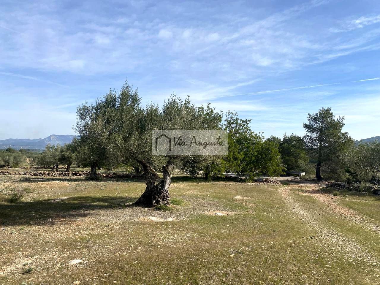 Ubebygd land til salgs i El Perello - € 86 000 (Ref: 8722996)