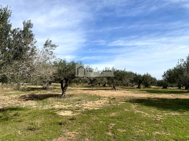 Ubebygd land til salgs i El Perelló - € 86 000 (Ref: 8722996)