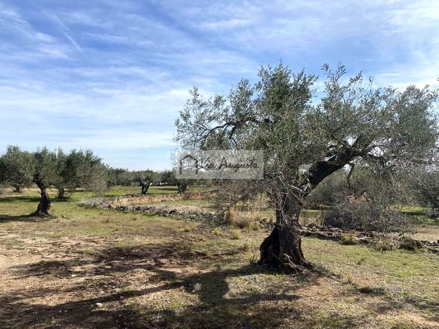 Ubebygd land til salgs i El Perelló - € 86 000 (Ref: 8722996)