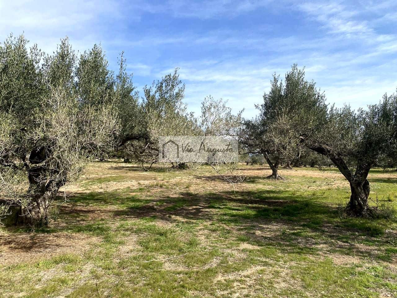 Ubebygd land til salgs i El Perello - € 86 000 (Ref: 8722996)