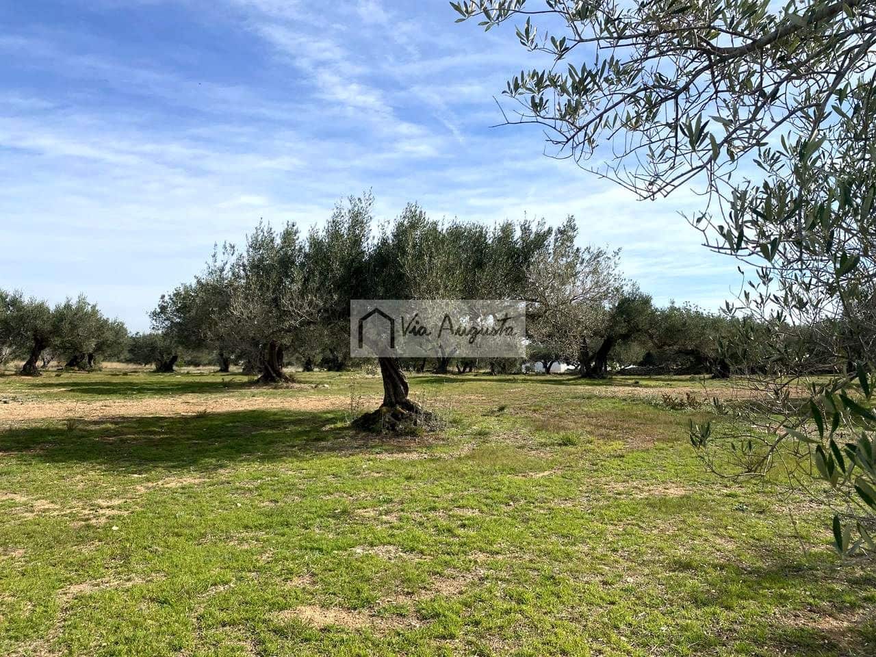 Ubebygd land til salgs i El Perello - € 86 000 (Ref: 8722996)