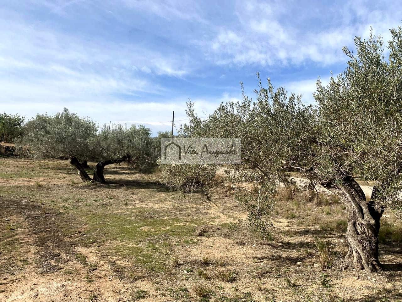 Ubebygd land til salgs i El Perello - € 86 000 (Ref: 8722996)