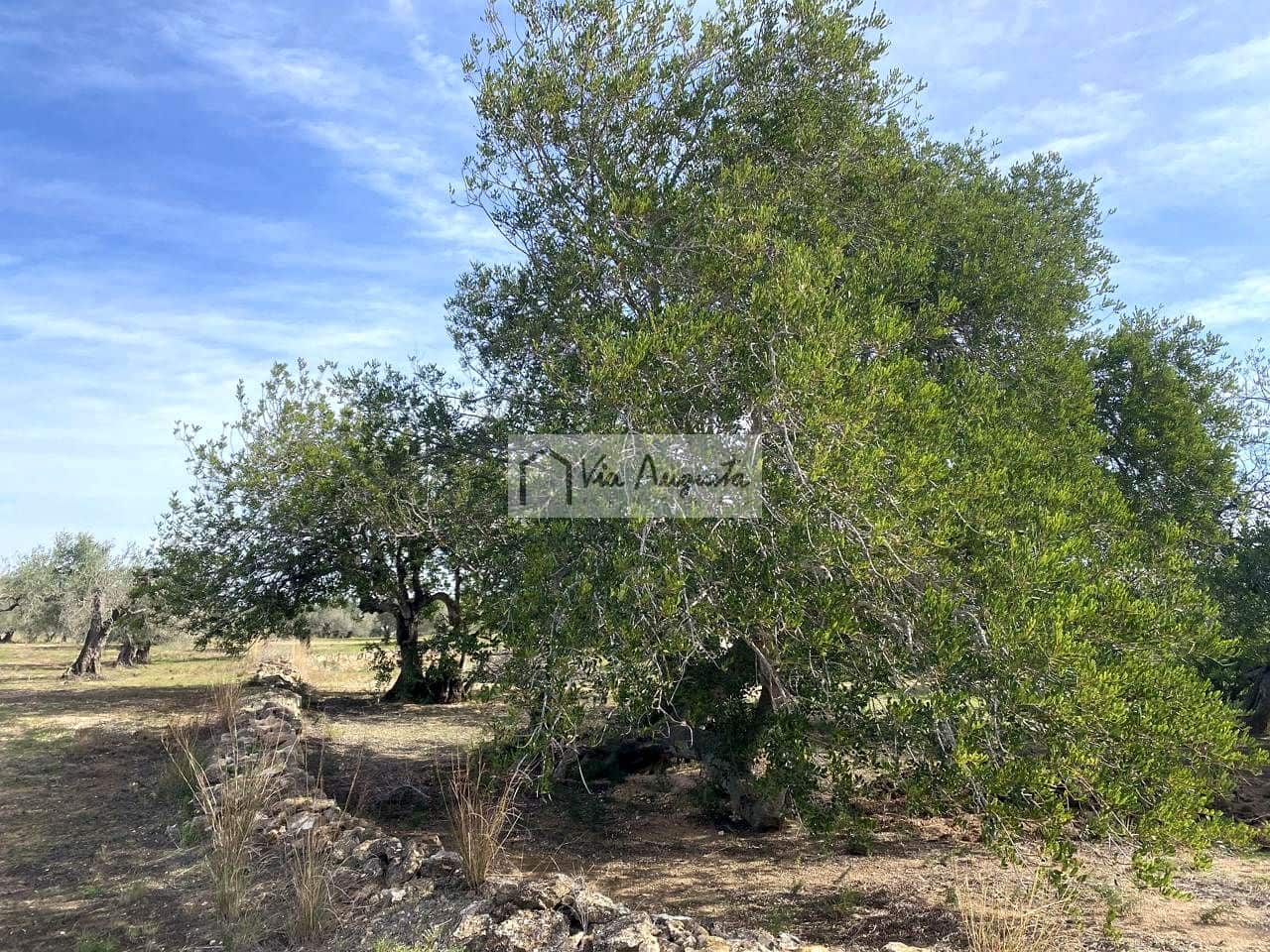 Ubebygd land til salgs i El Perello - € 86 000 (Ref: 8722996)
