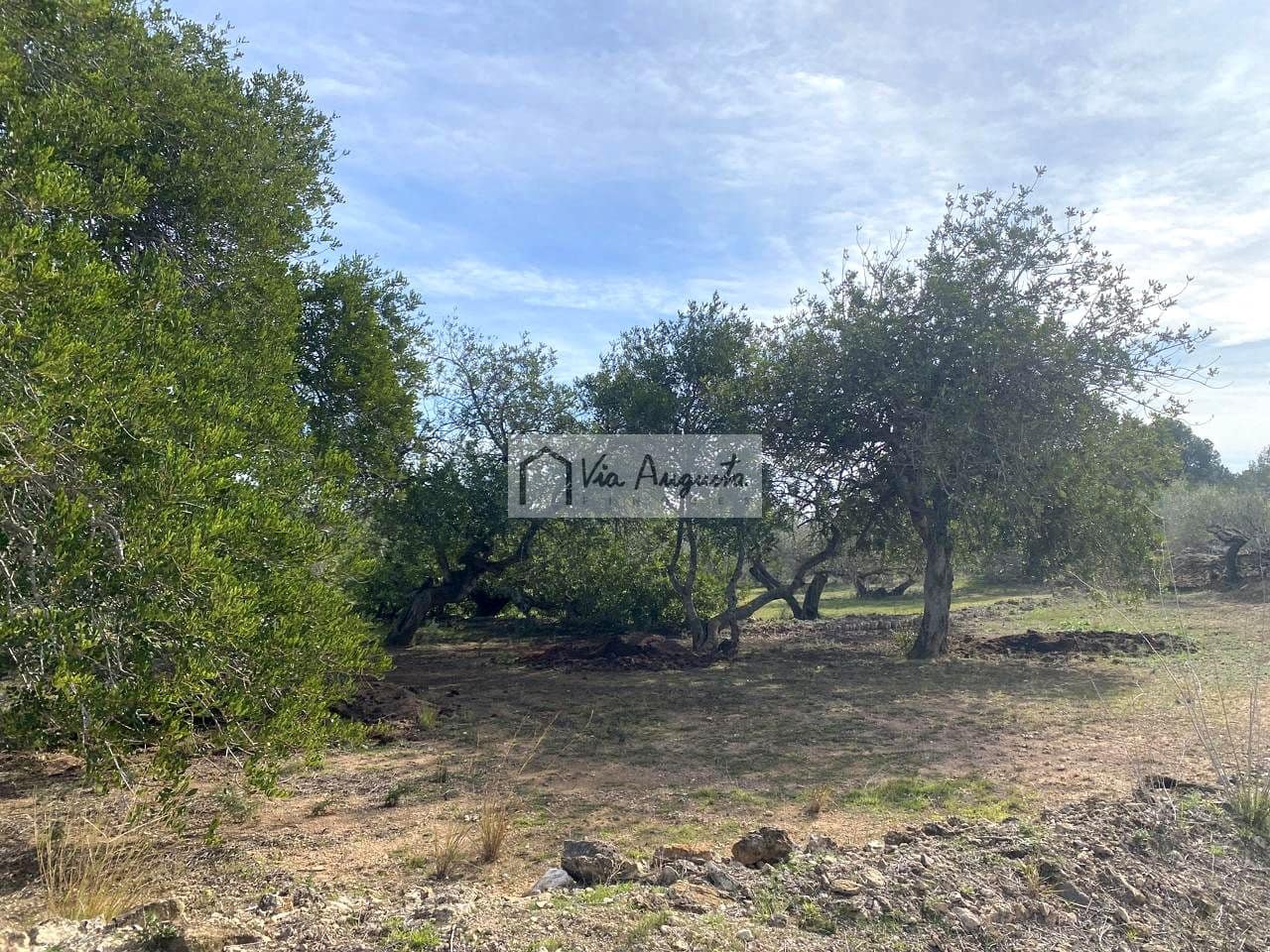 Ubebygd land til salgs i El Perello - € 86 000 (Ref: 8722996)