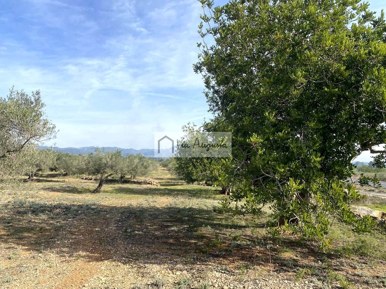 Ubebygd land til salgs i El Perello - € 86 000 (Ref: 8722996)