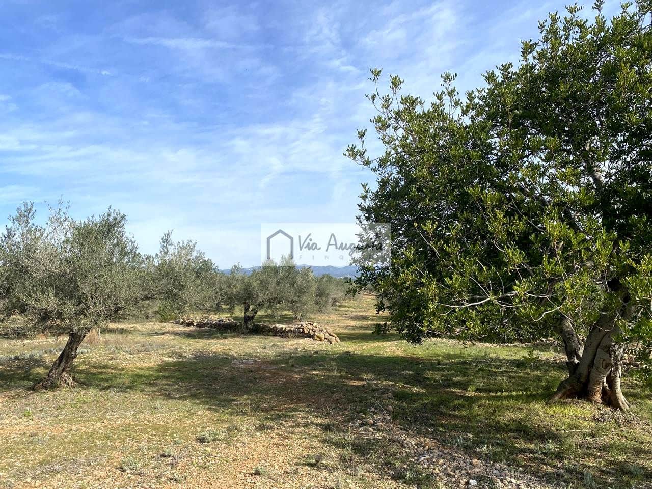 Ubebygd land til salgs i El Perello - € 86 000 (Ref: 8722996)
