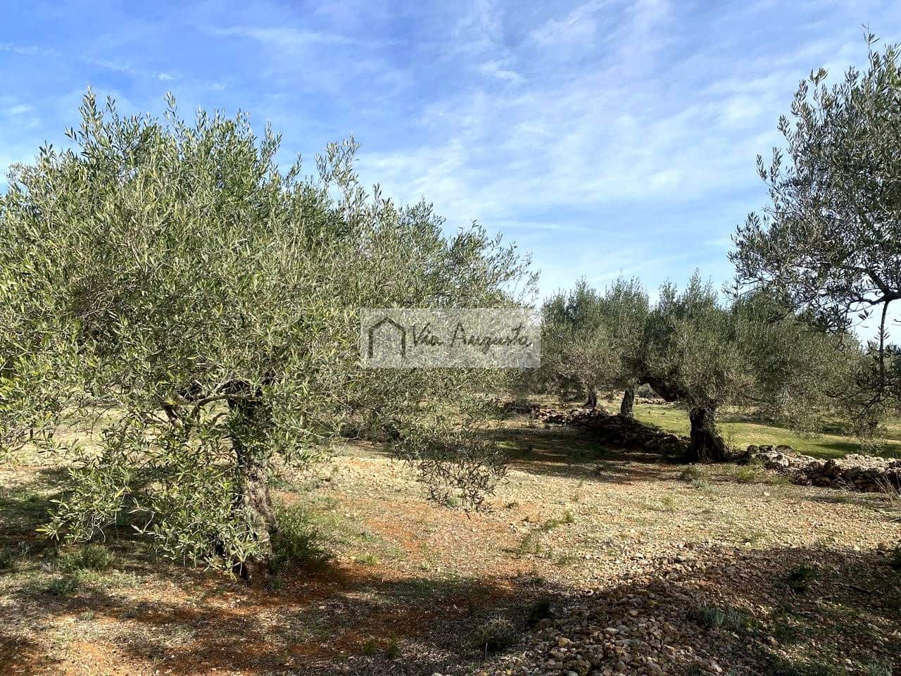Ubebygd land til salgs i El Perello - € 86 000 (Ref: 8722996)
