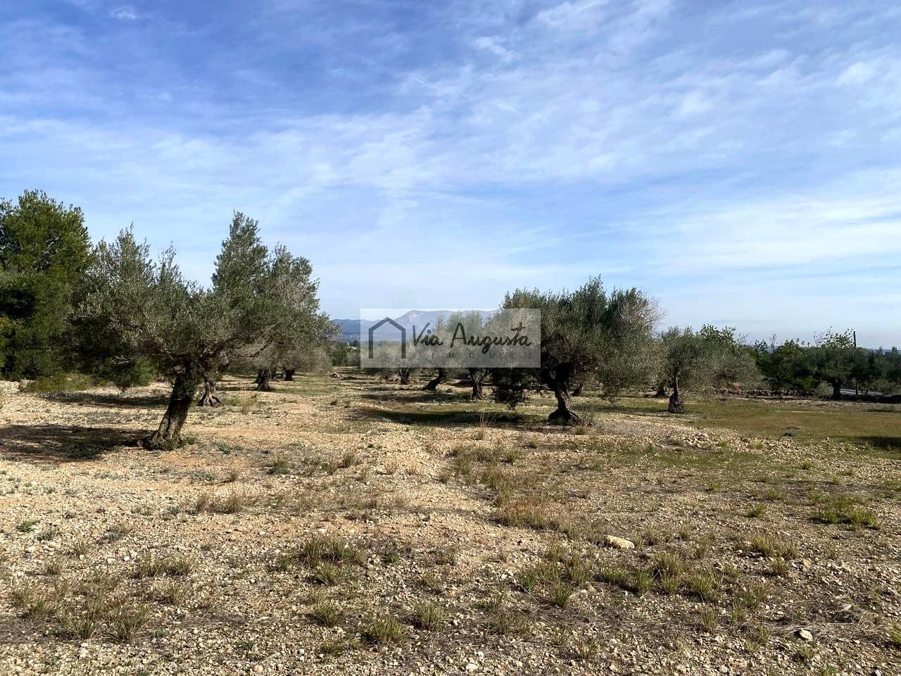 Ubebygd land til salgs i El Perello - € 86 000 (Ref: 8722996)