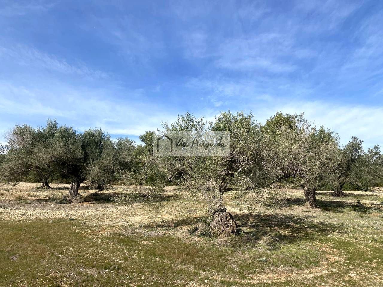 Ubebygd land til salgs i El Perello - € 86 000 (Ref: 8722996)