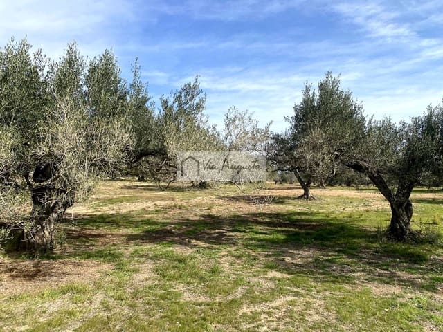 Ubebygd land til salgs i El Perelló - € 86 000 (Ref: 8722996)