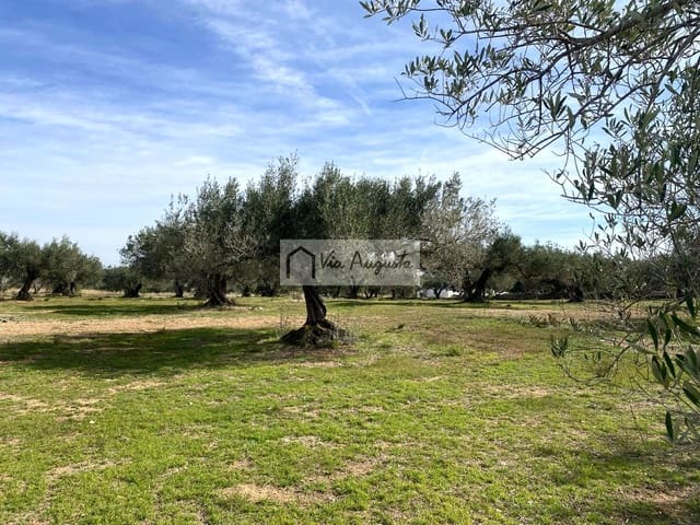 Ubebygd land til salgs i El Perelló - € 86 000 (Ref: 8722996)