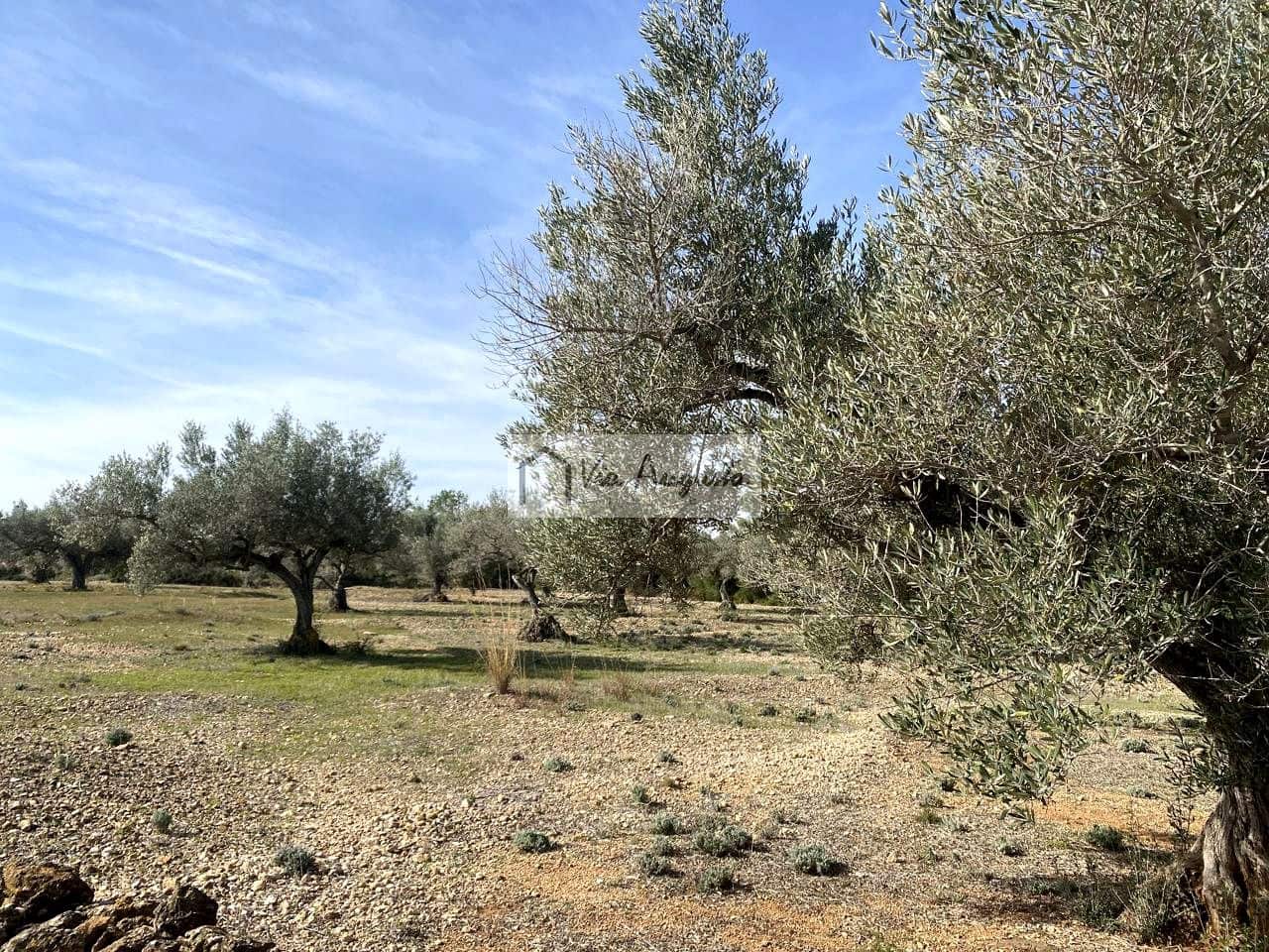 Ubebygd land til salgs i El Perello - € 86 000 (Ref: 8722996)