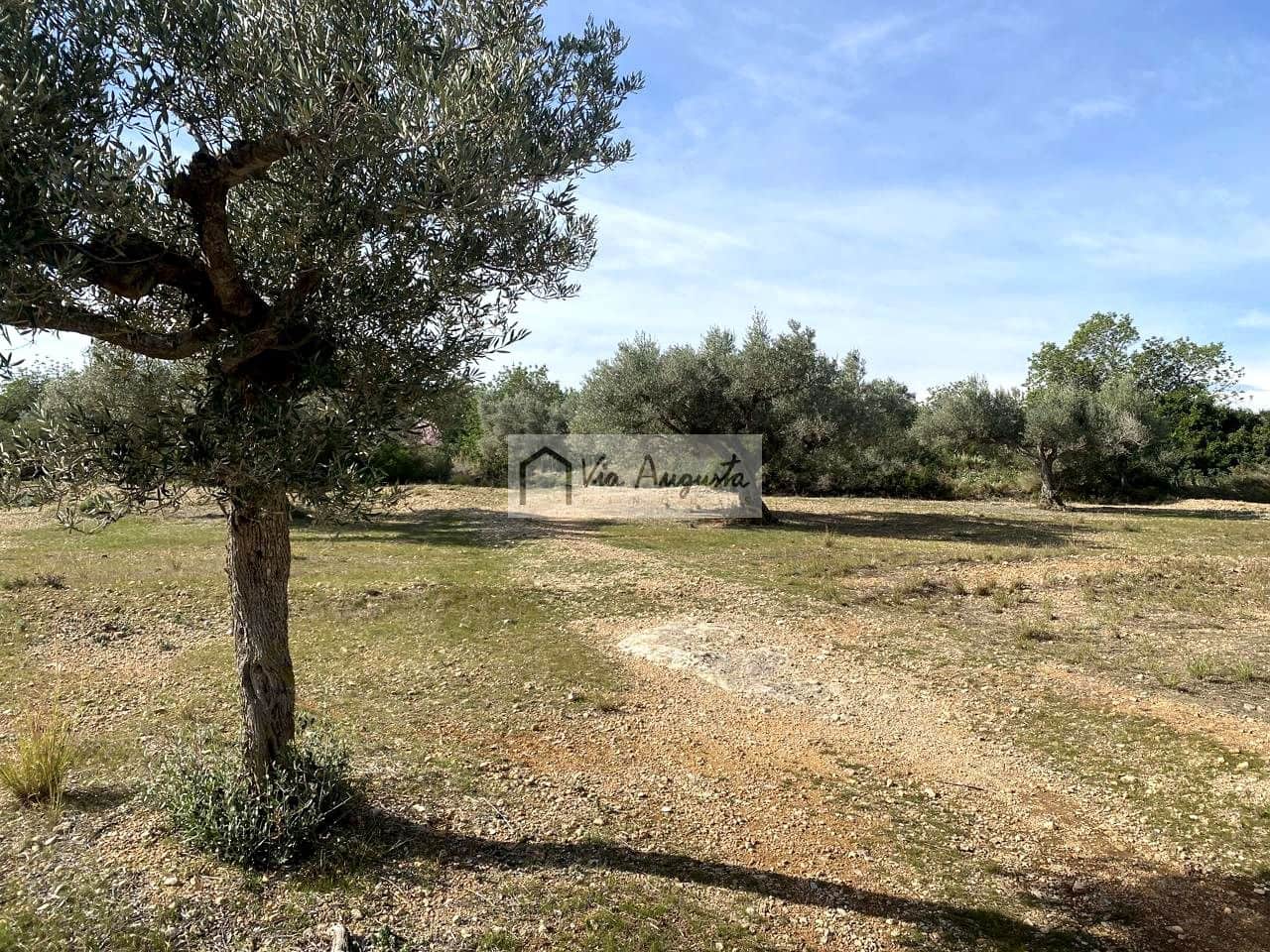 Ubebygd land til salgs i El Perello - € 86 000 (Ref: 8722996)