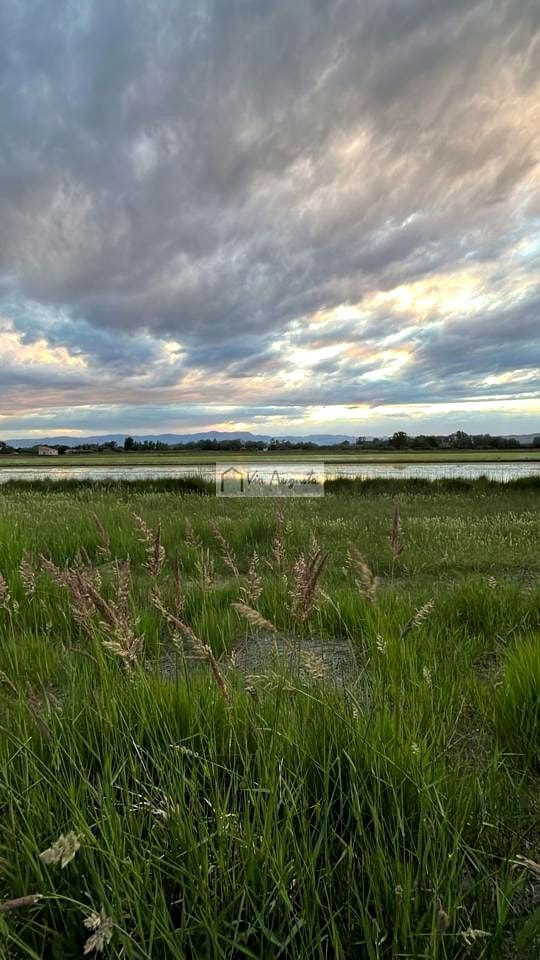 4 soveværelse Finca/Landehus til salg i Amposta - € 255.000 (Ref: 8738454)