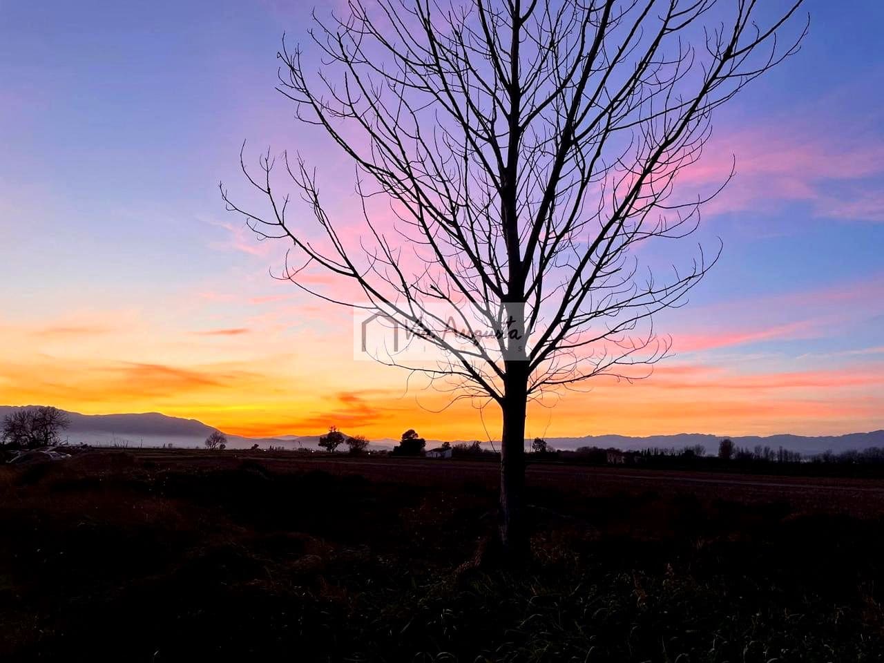 4 soveværelse Finca/Landehus til salg i Amposta - € 255.000 (Ref: 8738454)