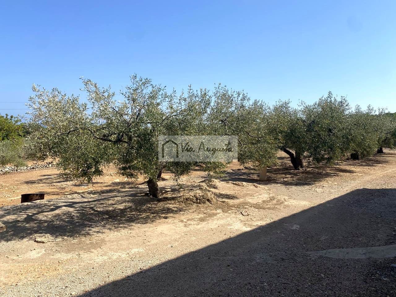 4 soveværelse Finca/Landehus til salg i L'Ametlla de Mar med garage - € 295.000 (Ref: 8826649)