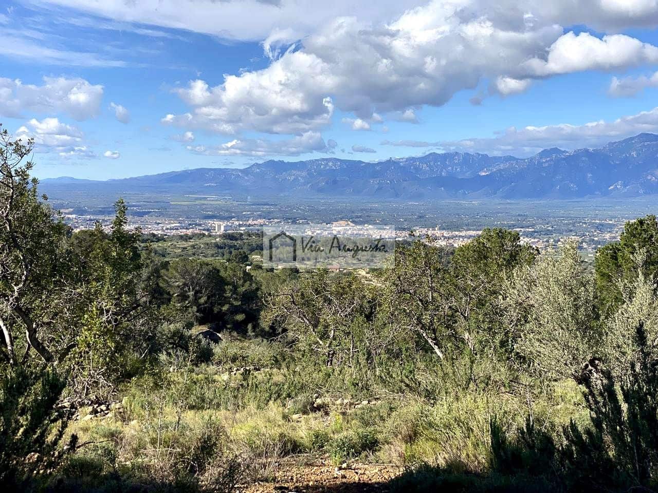 Grunde uden byggetilladelser til salg i Bitem - € 56.000 (Ref: 8868517)