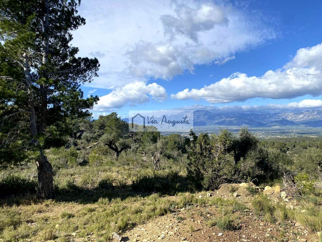 Grunde uden byggetilladelser til salg i Bitem - € 56.000 (Ref: 8868517)