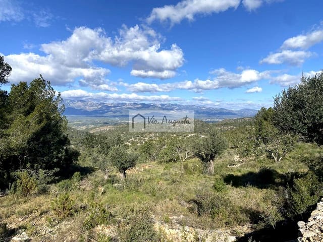 Grond te koop in Bitem, Tortosa - € 56.000 (Ref: 8868517)