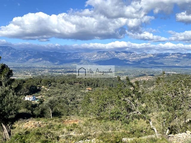 Grond te koop in Bitem, Tortosa - € 56.000 (Ref: 8868517)