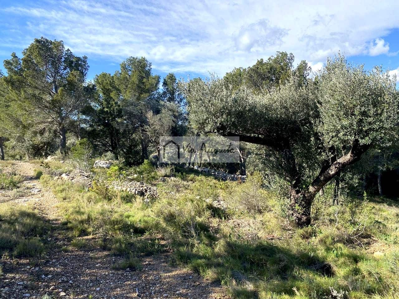 Grunde uden byggetilladelser til salg i Bitem - € 56.000 (Ref: 8868517)