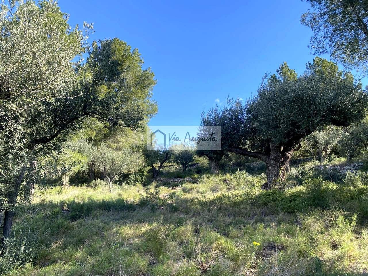 Grunde uden byggetilladelser til salg i Bitem - € 56.000 (Ref: 8868517)