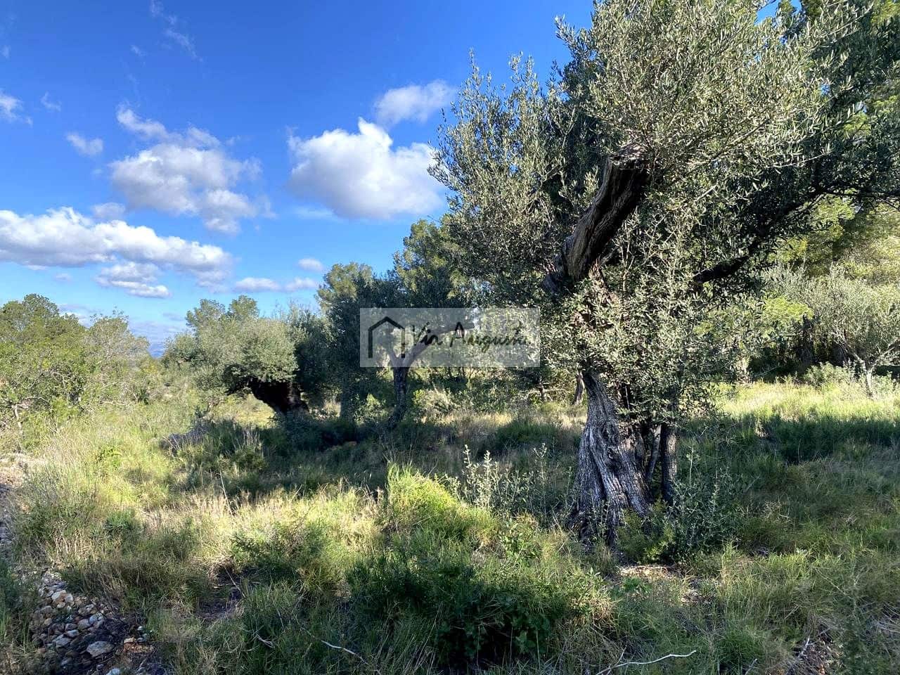 Grunde uden byggetilladelser til salg i Bitem - € 56.000 (Ref: 8868517)