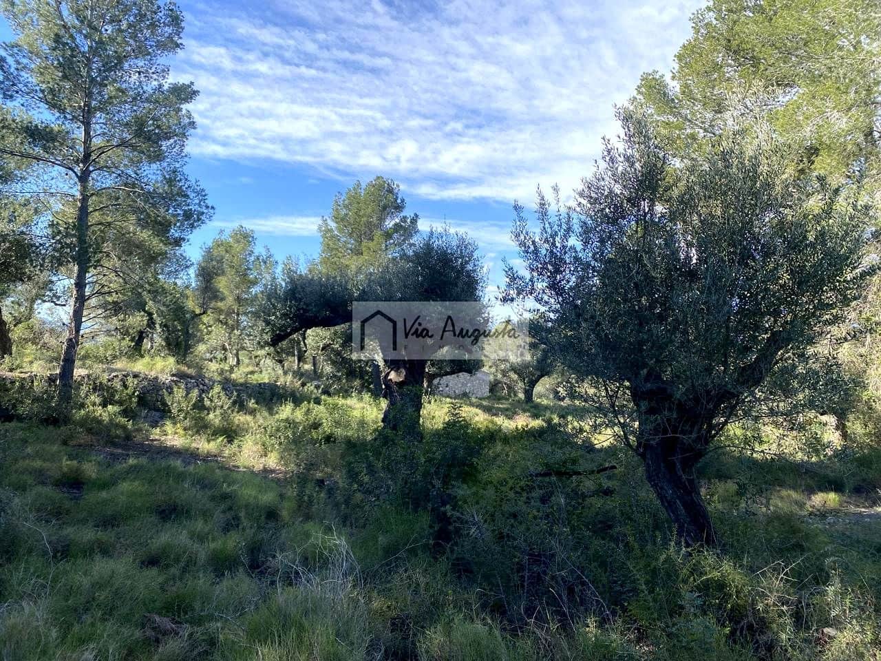 Grunde uden byggetilladelser til salg i Bitem - € 56.000 (Ref: 8868517)