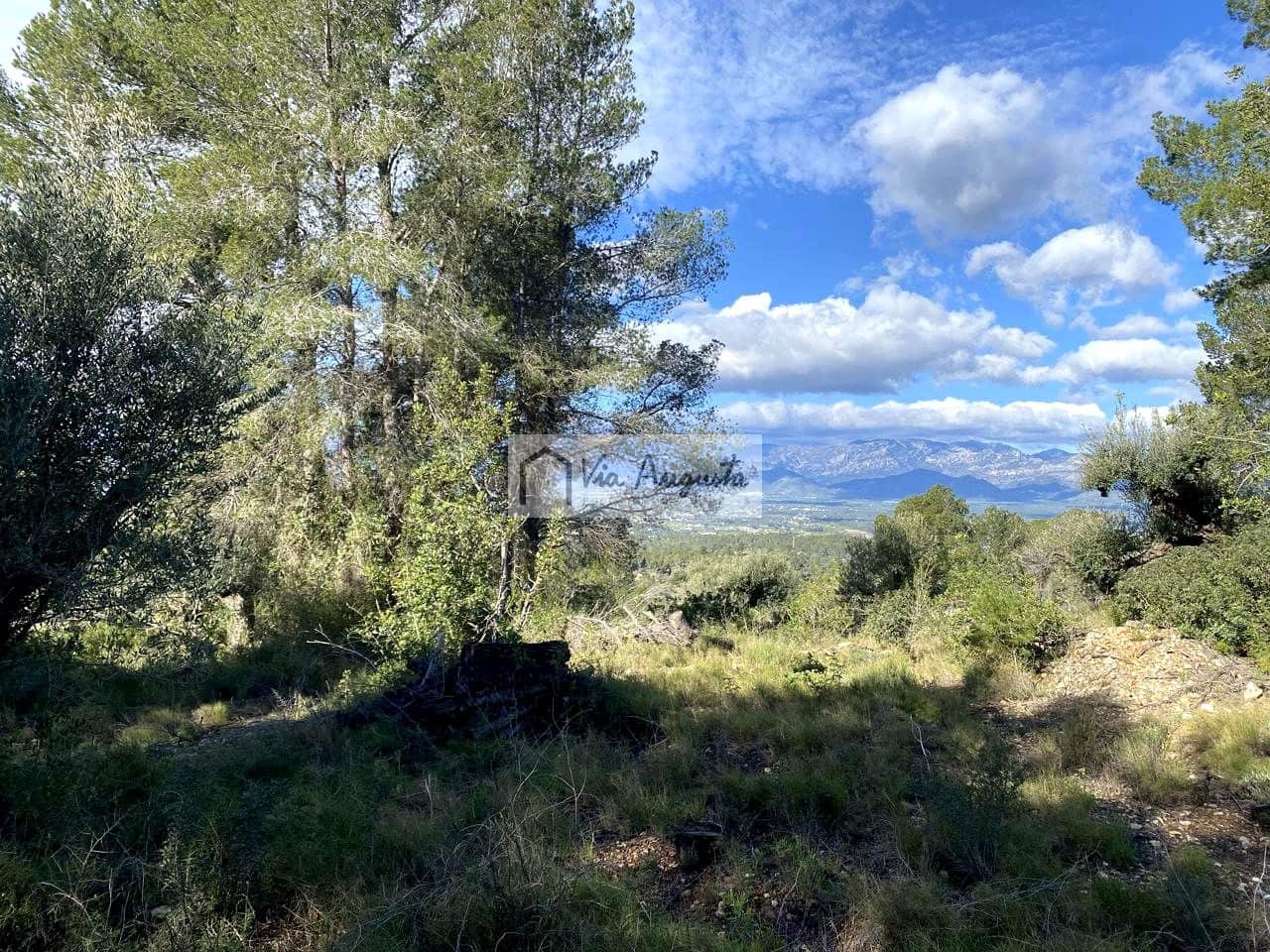 Grunde uden byggetilladelser til salg i Bitem - € 56.000 (Ref: 8868517)