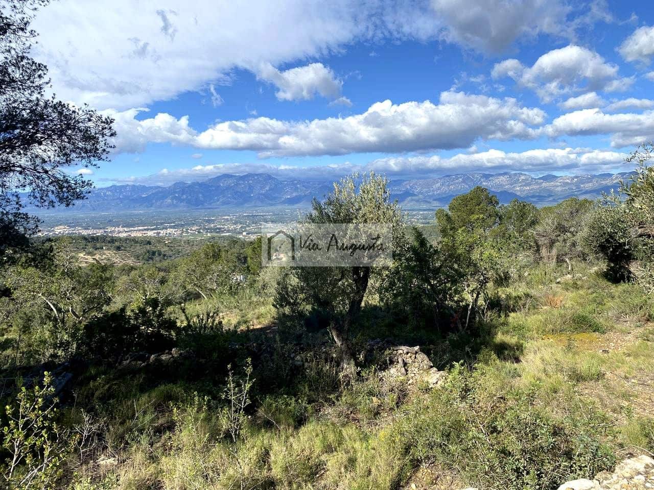 Grunde uden byggetilladelser til salg i Bitem - € 56.000 (Ref: 8868517)