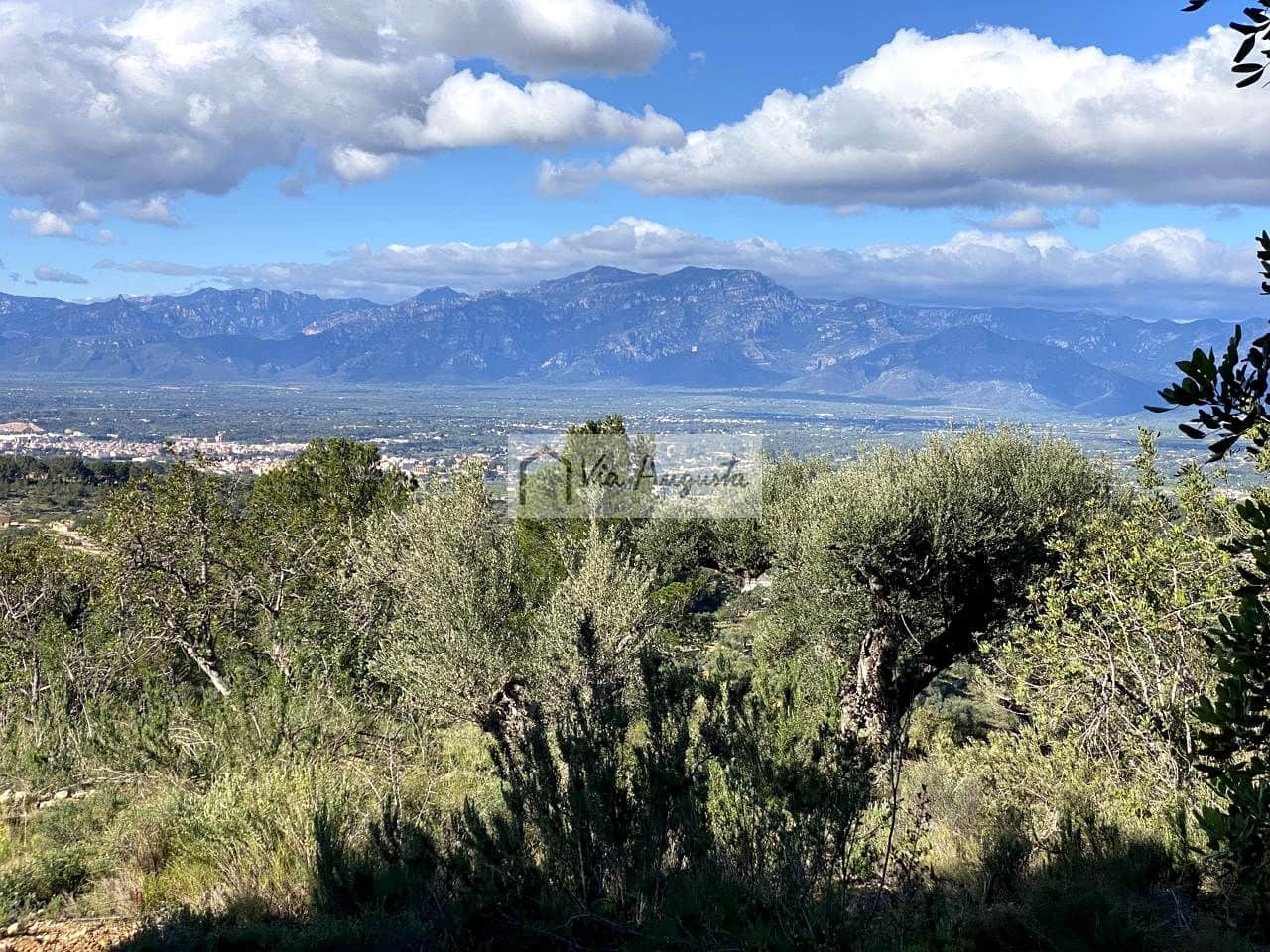 Grunde uden byggetilladelser til salg i Bitem - € 56.000 (Ref: 8868517)