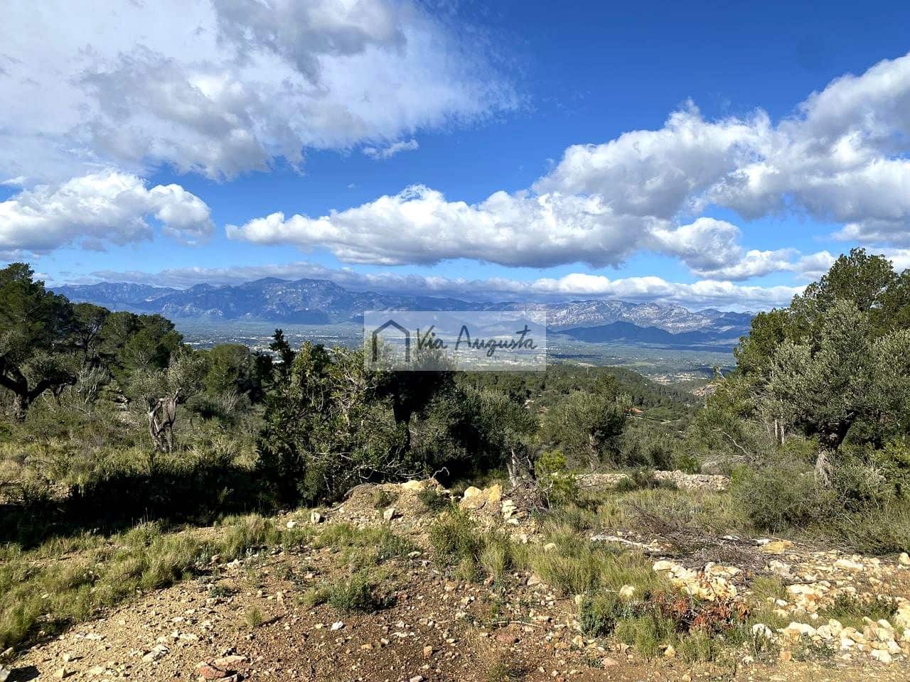 Grunde uden byggetilladelser til salg i Bitem - € 56.000 (Ref: 8868517)