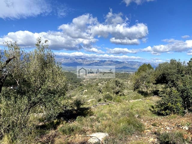 Grond te koop in Bitem, Tortosa - € 56.000 (Ref: 8868517)